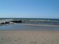 Resize of DSCF2551.JPG